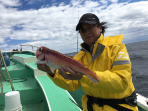 喜久丸 釣果