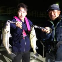 シーマジカル 釣果