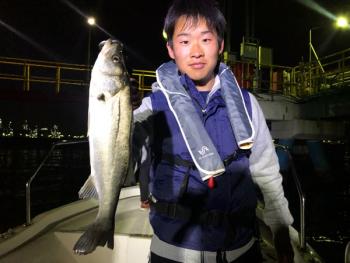 シーマジカル 釣果