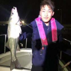 シーマジカル 釣果