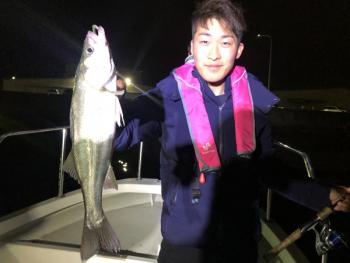 シーマジカル 釣果