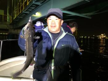 シーマジカル 釣果