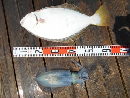 こかわ渡船　雅丸 釣果