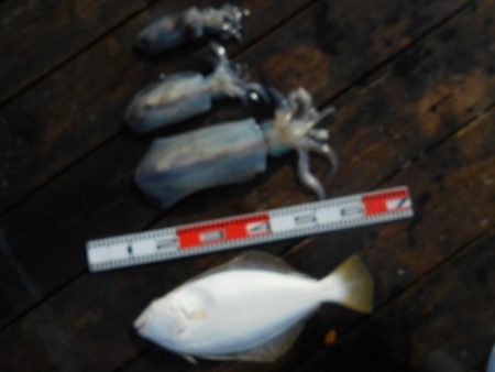 こかわ渡船　雅丸 釣果