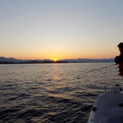 フィッシングボート空風(そらかぜ) 釣果