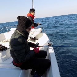 フィッシングボート空風(そらかぜ) 釣果