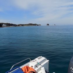 フィッシングボート空風(そらかぜ) 釣果