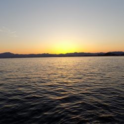 フィッシングボート空風(そらかぜ) 釣果