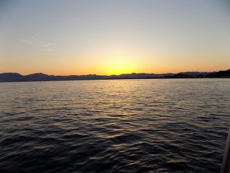 フィッシングボート空風(そらかぜ) 釣果