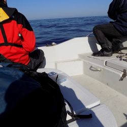 フィッシングボート空風(そらかぜ) 釣果