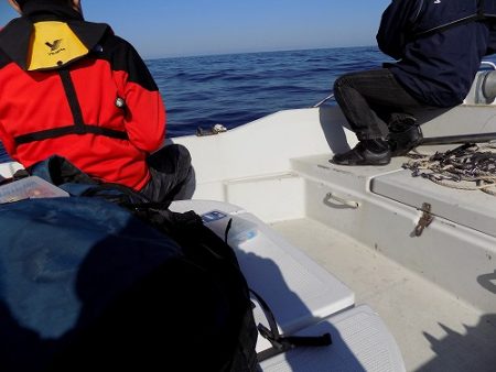 フィッシングボート空風(そらかぜ) 釣果