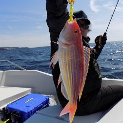 フィッシングボート空風(そらかぜ) 釣果