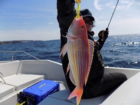 フィッシングボート空風(そらかぜ) 釣果