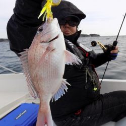 フィッシングボート空風(そらかぜ) 釣果