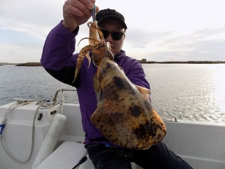 フィッシングボート空風(そらかぜ) 釣果