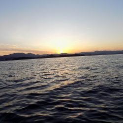 フィッシングボート空風(そらかぜ) 釣果