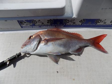 フィッシングボート空風(そらかぜ) 釣果