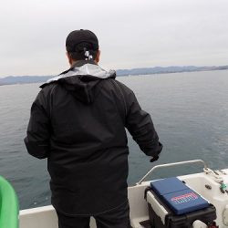 フィッシングボート空風(そらかぜ) 釣果