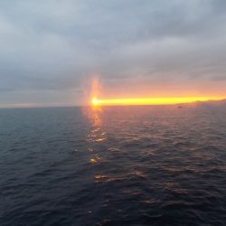 フィッシングボート空風(そらかぜ) 釣果