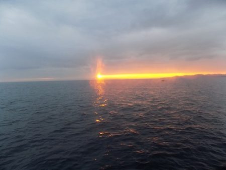 フィッシングボート空風(そらかぜ) 釣果