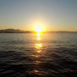 フィッシングボート空風(そらかぜ) 釣果