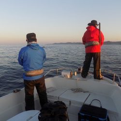 フィッシングボート空風(そらかぜ) 釣果