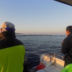 フィッシングボート空風(そらかぜ) 釣果