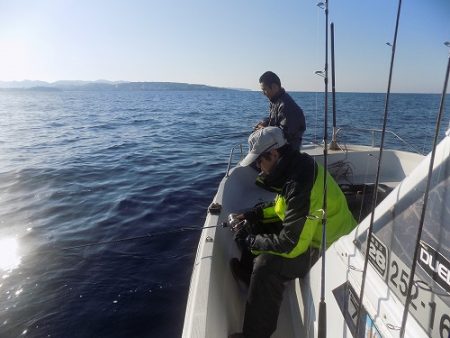 フィッシングボート空風(そらかぜ) 釣果