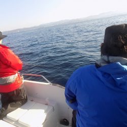 フィッシングボート空風(そらかぜ) 釣果