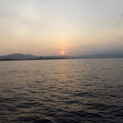 フィッシングボート空風(そらかぜ) 釣果