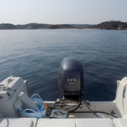 フィッシングボート空風(そらかぜ) 釣果