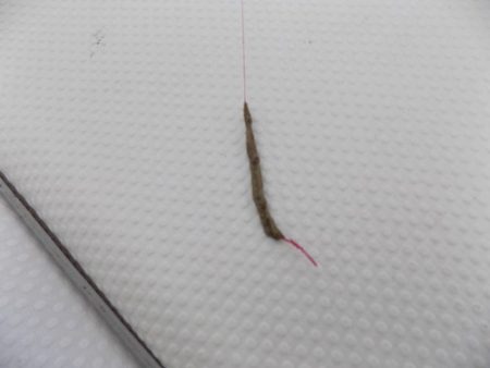 フィッシングボート空風(そらかぜ) 釣果