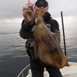 フィッシングボート空風(そらかぜ) 釣果