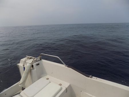 フィッシングボート空風(そらかぜ) 釣果