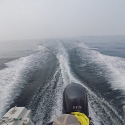 フィッシングボート空風(そらかぜ) 釣果