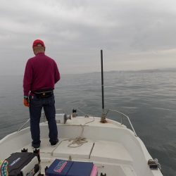 フィッシングボート空風（そらかぜ） 釣果