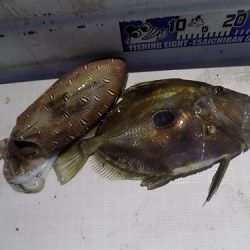 フィッシングボート空風（そらかぜ） 釣果