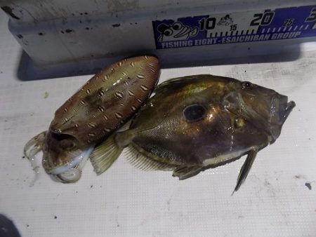 フィッシングボート空風（そらかぜ） 釣果