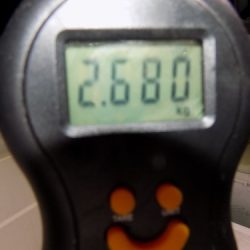 フィッシングボート空風（そらかぜ） 釣果