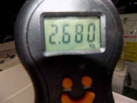 フィッシングボート空風（そらかぜ） 釣果