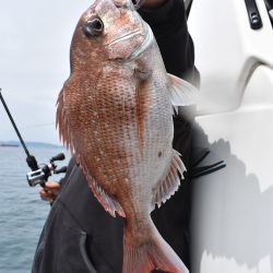 Fisherman Dreams DI 釣果