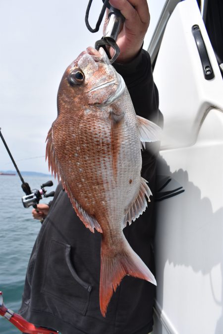 Fisherman Dreams DI 釣果