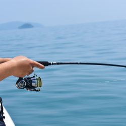 Fisherman Dreams DI 釣果