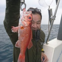 ブルーピア 釣果