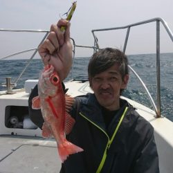 ブルーピア 釣果