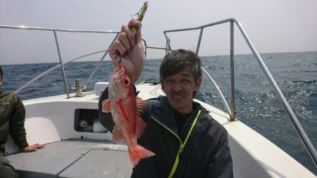 ブルーピア 釣果