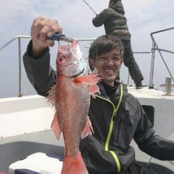 ブルーピア 釣果