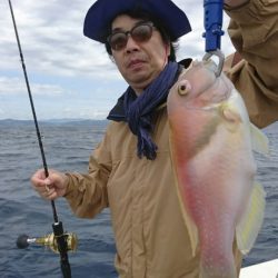 ブルーピア 釣果