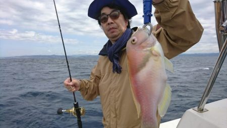 ブルーピア 釣果