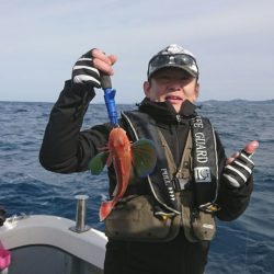 ブルーピア 釣果